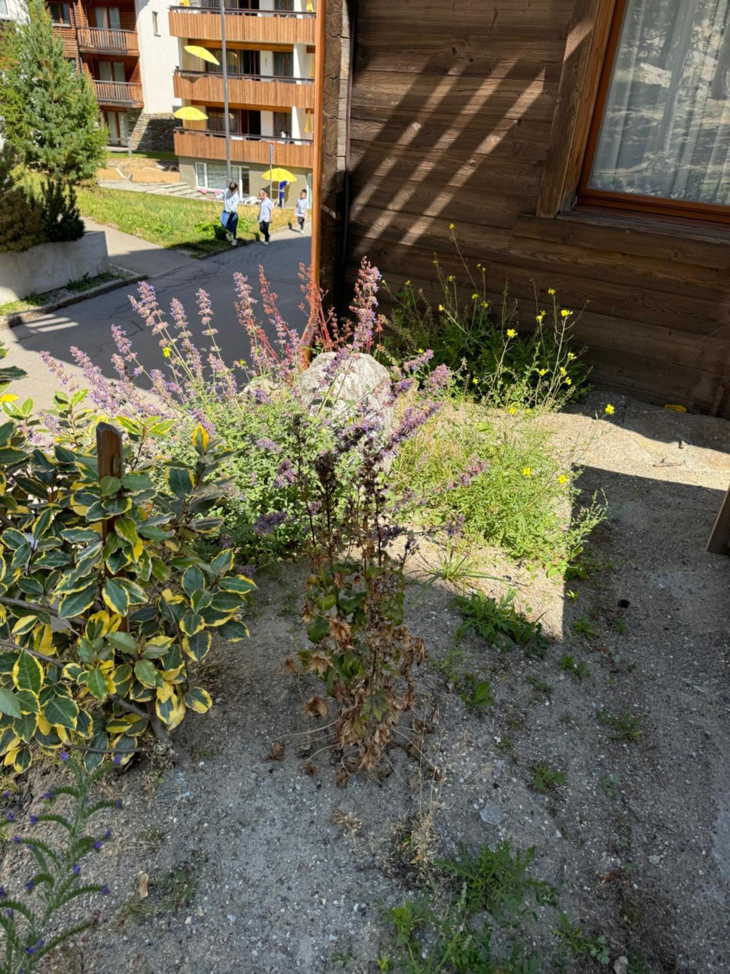 Chalet Tannegg Saas-Fee Exterior photo